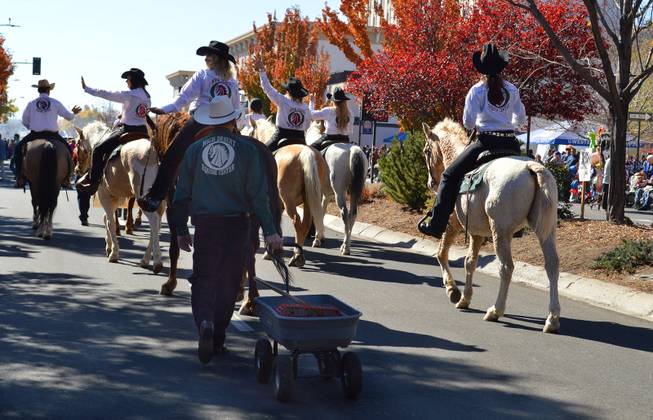 Bill Molloy follows riders of the High Desert Equine Center, which is northeast of Reno, in the Nevada Day parade in Carson City on Oct. 26, 2013.
